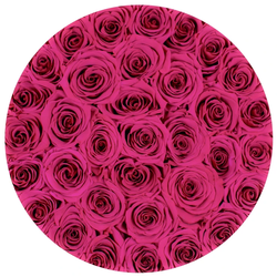 rosy