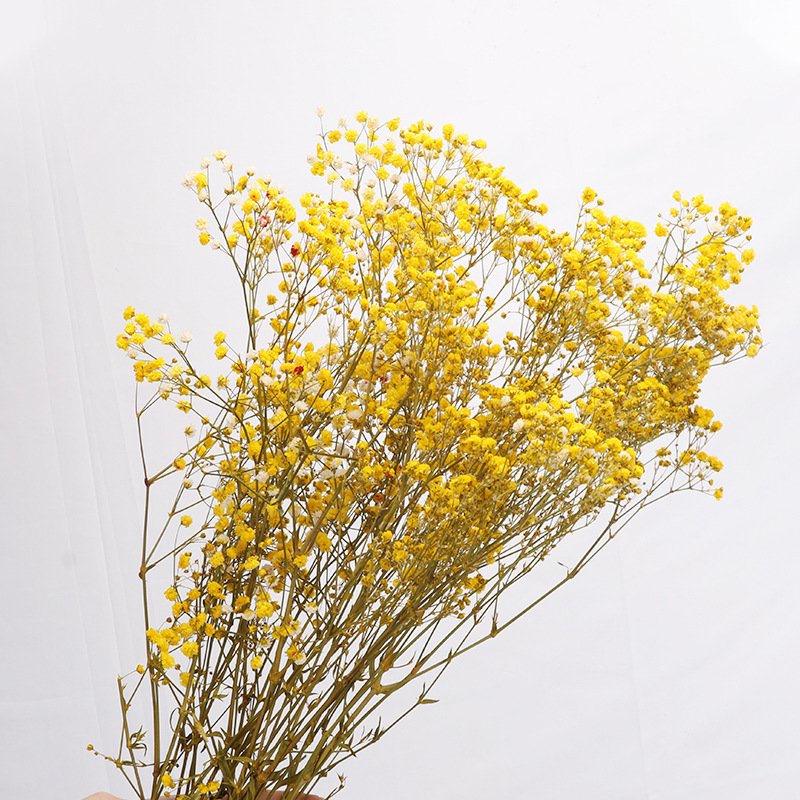 BLH Natural Dried Preserved Immortal Crystal Artifical Babysbreath Flower For Home Wedding Decoration Best gift for Valentine's day