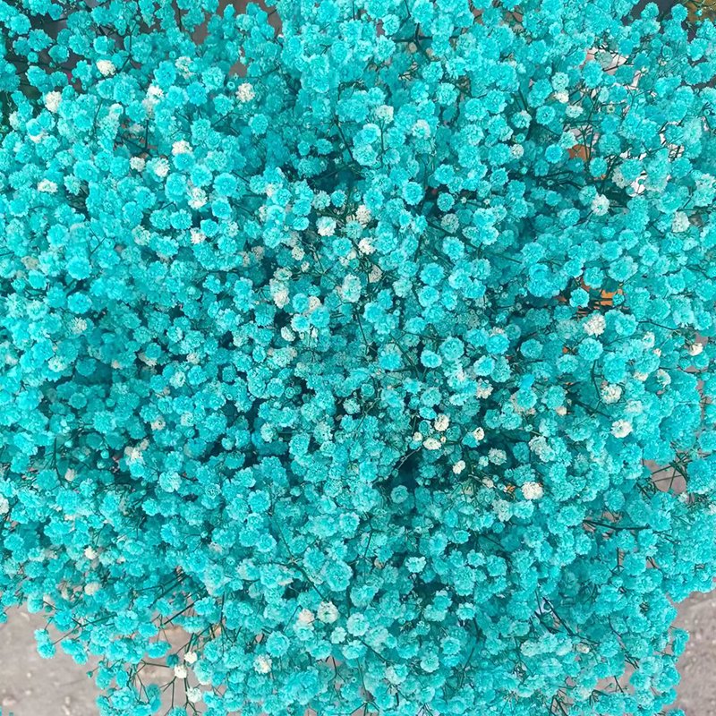 Natural Style Preserved Baby Breath Flowers Dried Gypsophila Wedding Home Decor Halloween Graduation Gifts Direct Factory Supply