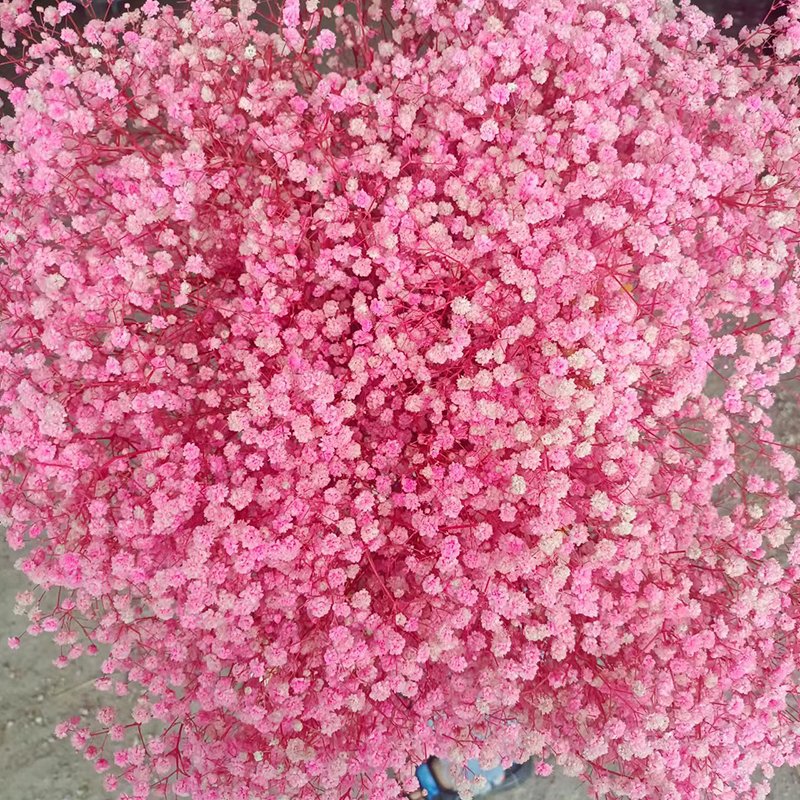 Natural Style Preserved Baby Breath Flowers Dried Gypsophila Wedding Home Decor Halloween Graduation Gifts Direct Factory Supply