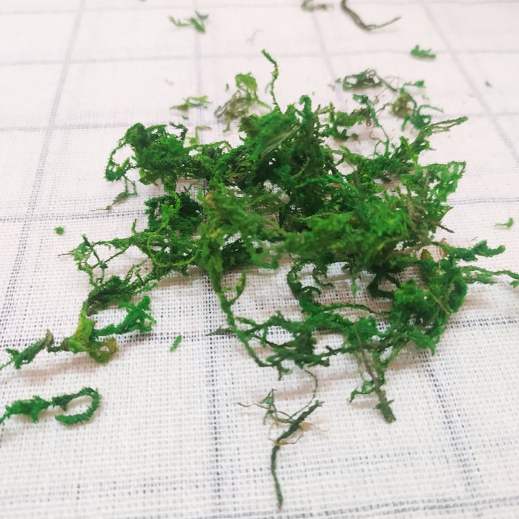Qihao Natural Lichen Preserved Fresh Green Moss for Craft Floral Project Wall Decor Table Wedding Garden Terrariums Decoration