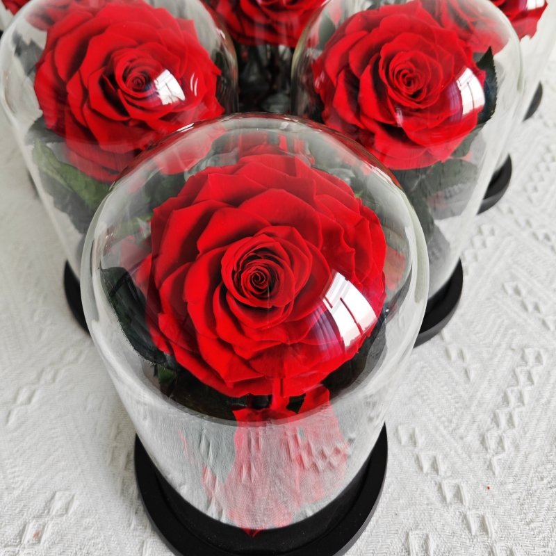 2024 tiktok hot selling Eternal Rose Flowers Morthers Day Everlasting Preserved Flower Forever Roses In Glass Dome Led