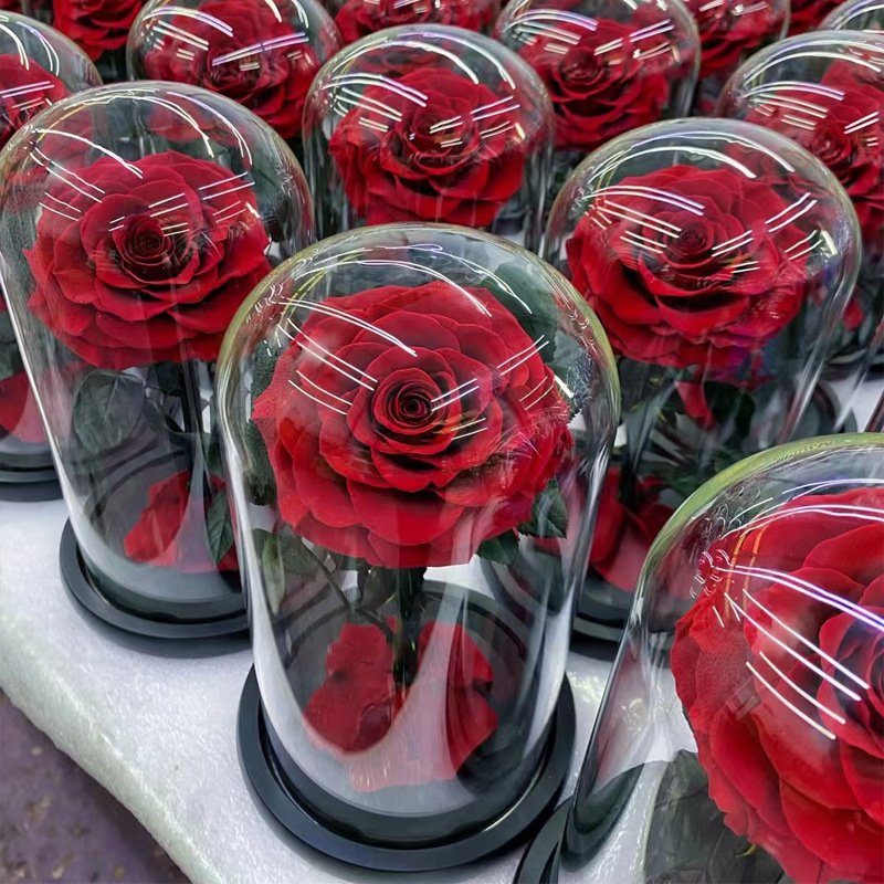 2024 tiktok hot selling Eternal Rose Flowers Morthers Day Everlasting Preserved Flower Forever Roses In Glass Dome Led