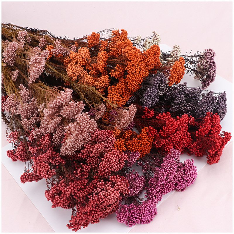 Yunnan 2023 most popular preserved rice flower preserved Flower Decorative Flowers for Home Decoration