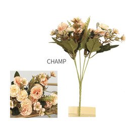 Champagne