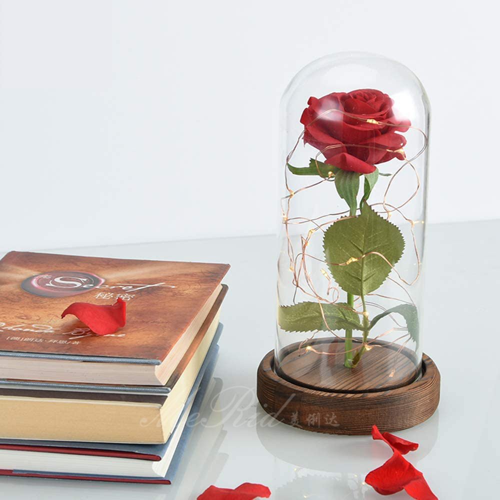 Wholesale Long Lasting Fresh Forever Real Touch Preserved Rose Flower In Glass Dome