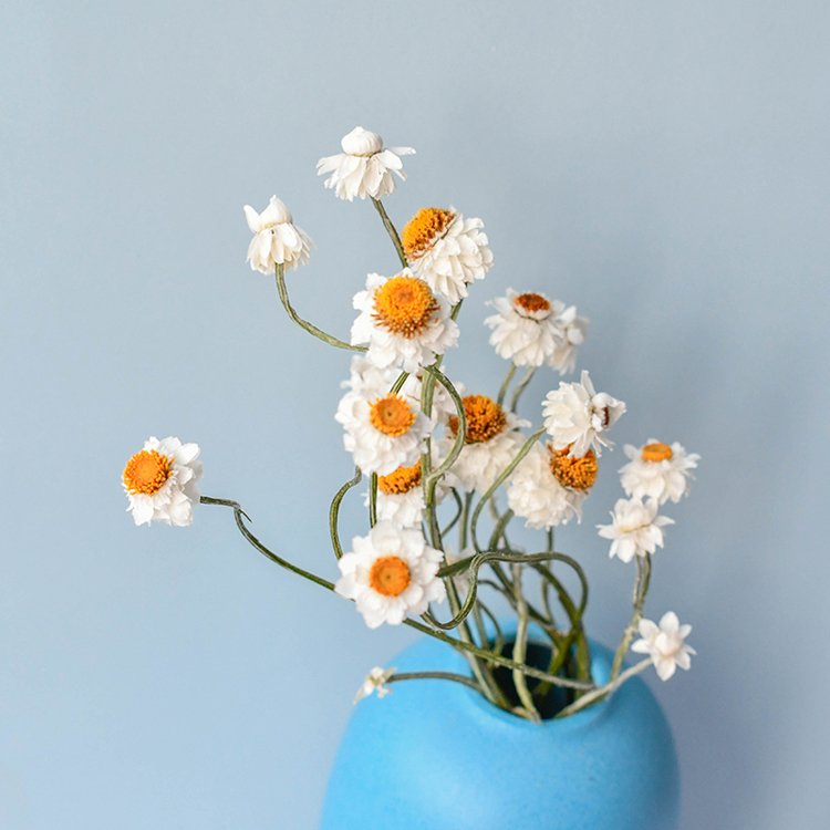 Wholesale natural real touch flower daisy flower For Wedding Flower Decoration