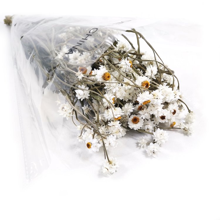 Wholesale natural real touch flower daisy flower For Wedding Flower Decoration