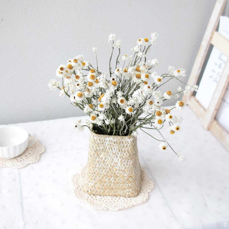 Wholesale natural real touch flower daisy flower For Wedding Flower Decoration