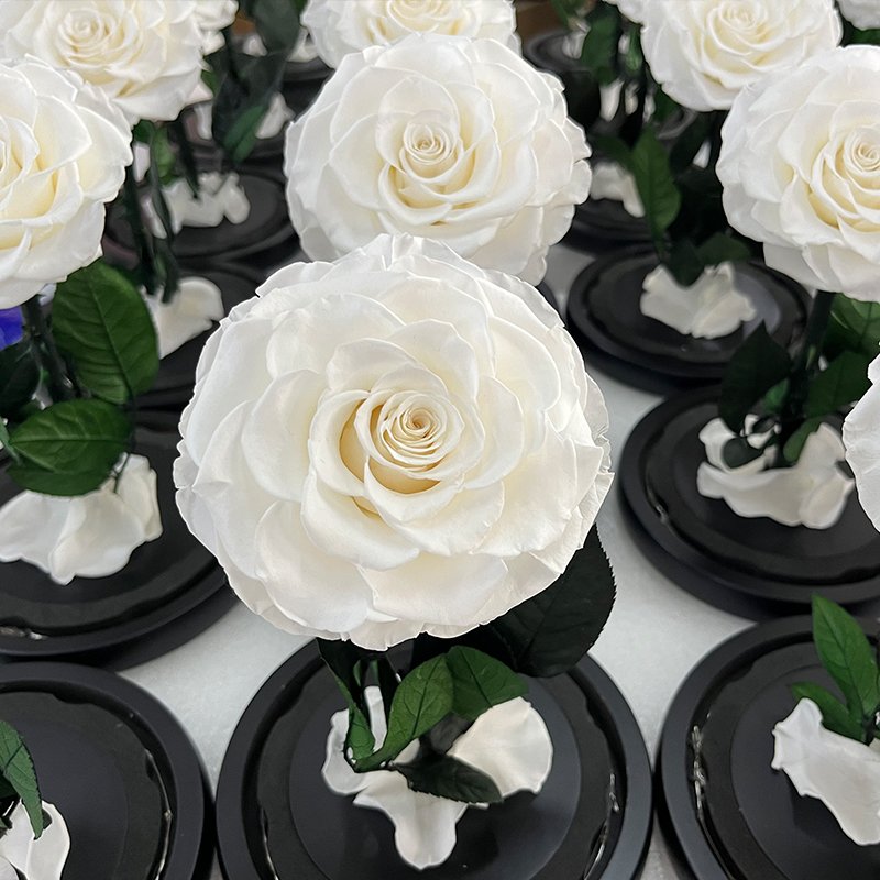 Lovebay Hot Sale Home Decoration Valentines Day Gifts Preserved Forever Roses In Glass Dome Forever Eternal Roses wholesale