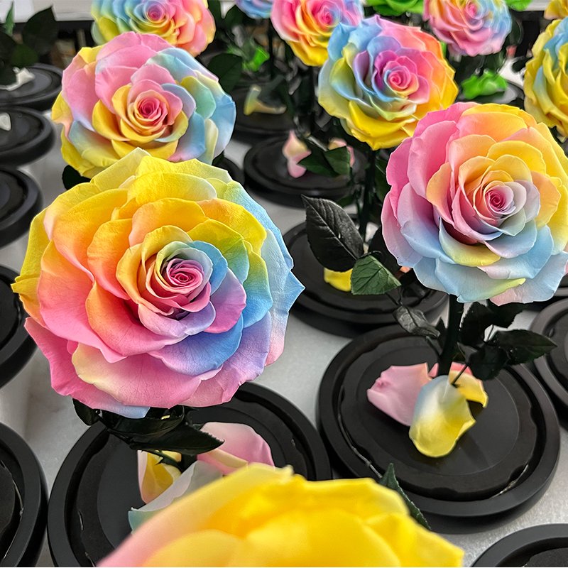 Lovebay Hot Sale Home Decoration Valentines Day Gifts Preserved Forever Roses In Glass Dome Forever Eternal Roses wholesale