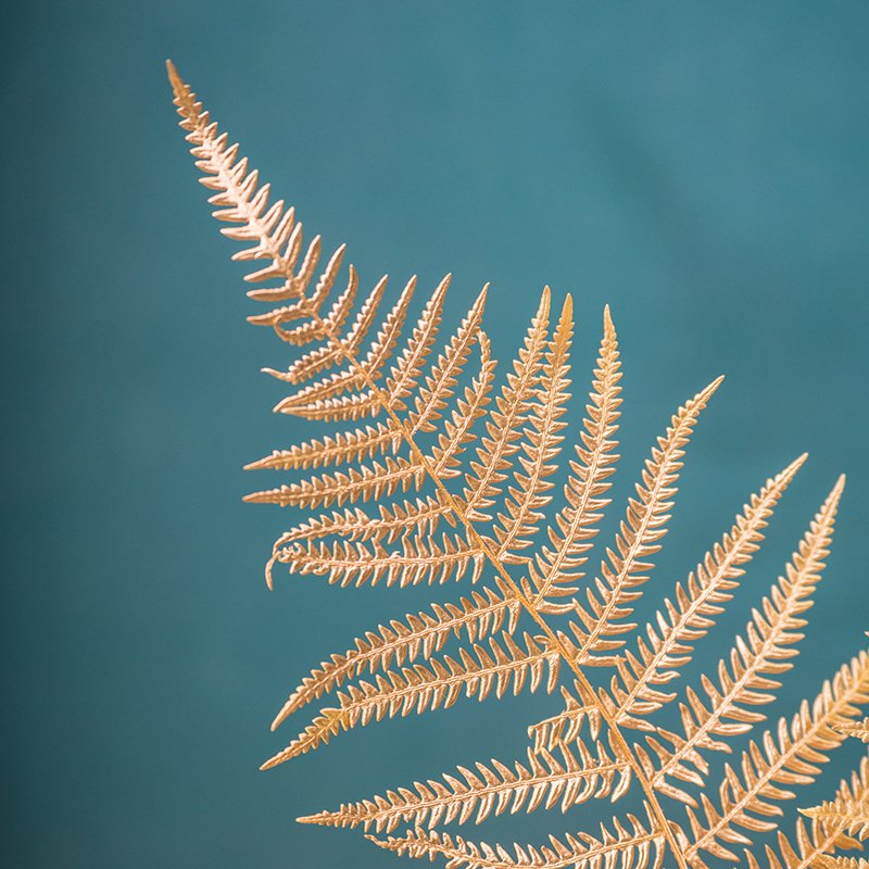factory supply Wholesale real gold Fern Leaf Preserved flower wedding Decoration Dried Mountain flowers & wreaths