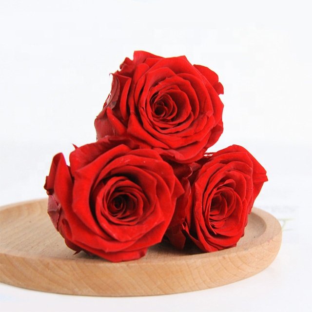 China Preserved Flowers Wholesale High Quality Grade A Eternal Rose Preserved Flowers Plants Preserved Rose Heads For Decoration