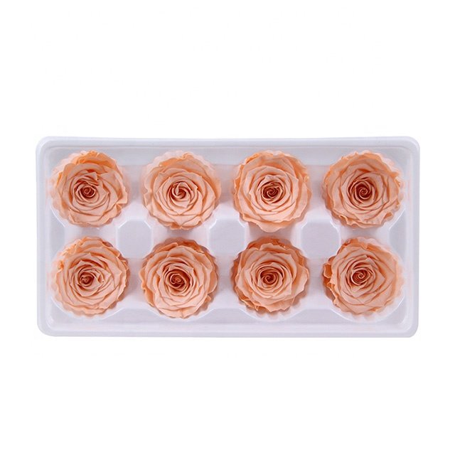 China Preserved Flowers Wholesale High Quality Grade A Eternal Rose Preserved Flowers Plants Preserved Rose Heads For Decoration