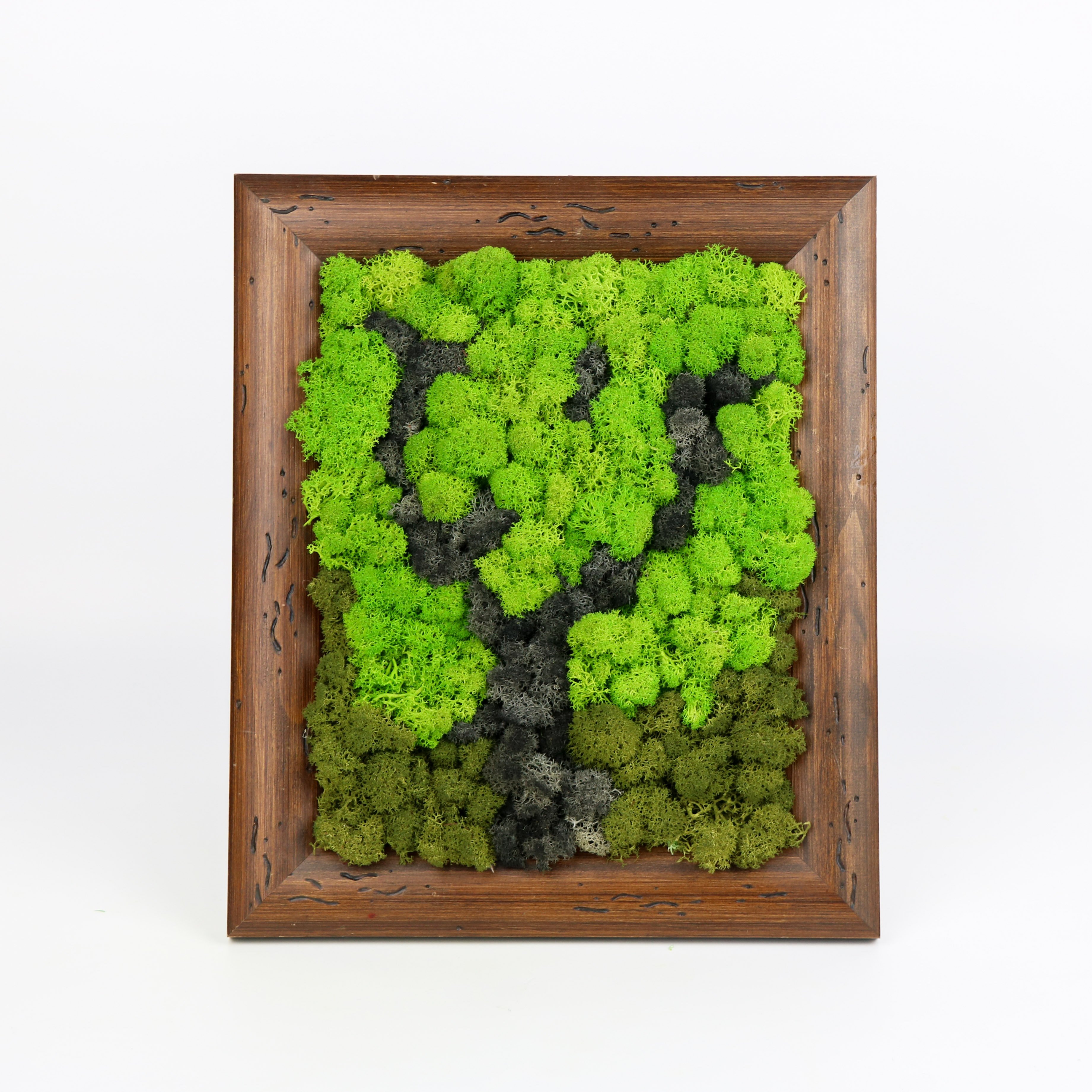 Hot Selling Home Decoration Preserved Moss Wall Art Frame Reindeer Moss Stabilized Popular Ready to Ship Mother's Day Products