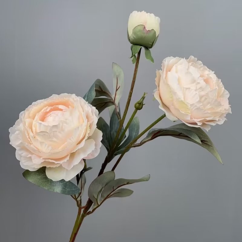 2024 Factory New Popular white red pink real touch preserved peony artificial flower