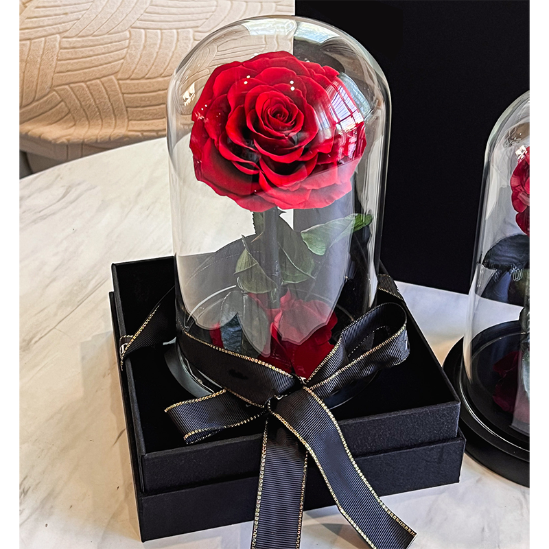 preserved real forever roses glass dome preserved flowers leaves preserved roses in glass dome