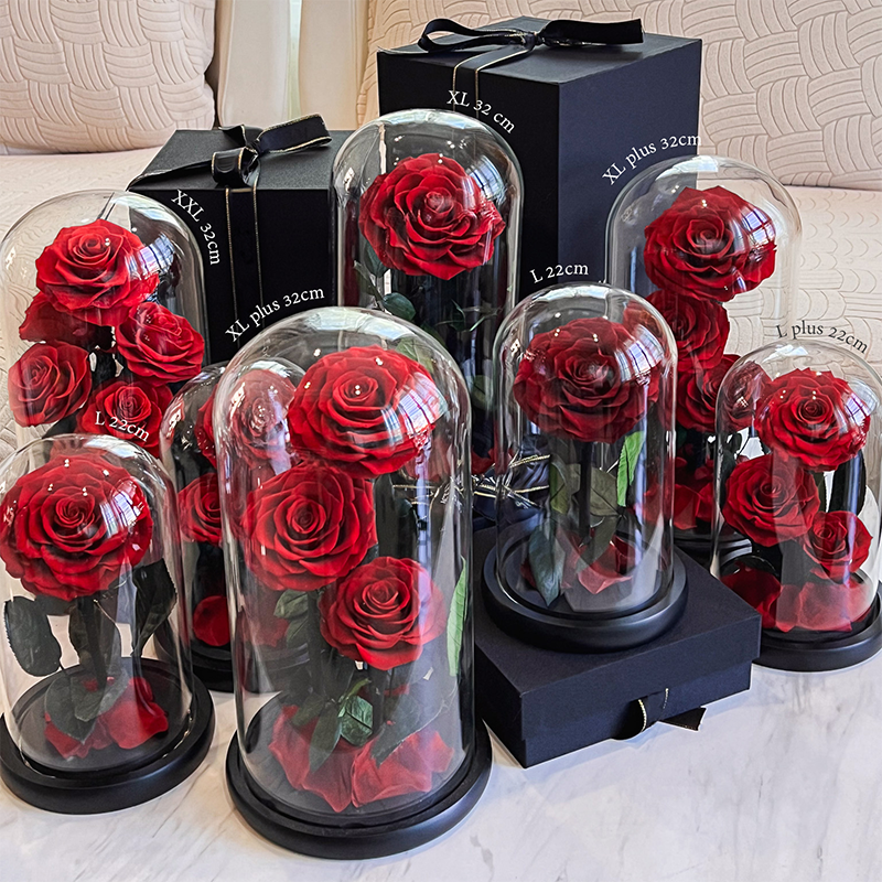 preserved real forever roses glass dome preserved flowers leaves preserved roses in glass dome