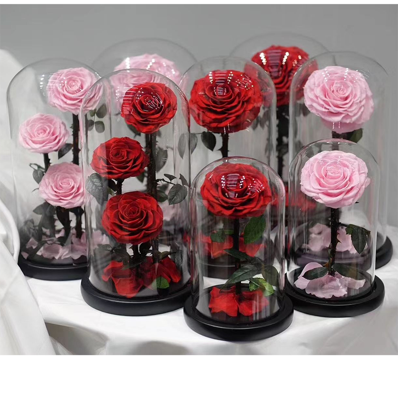 preserved real forever roses glass dome preserved flowers leaves preserved roses in glass dome