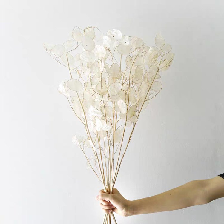 SumFlora Hot sale office decoration modern decoration preserved flower silver blade