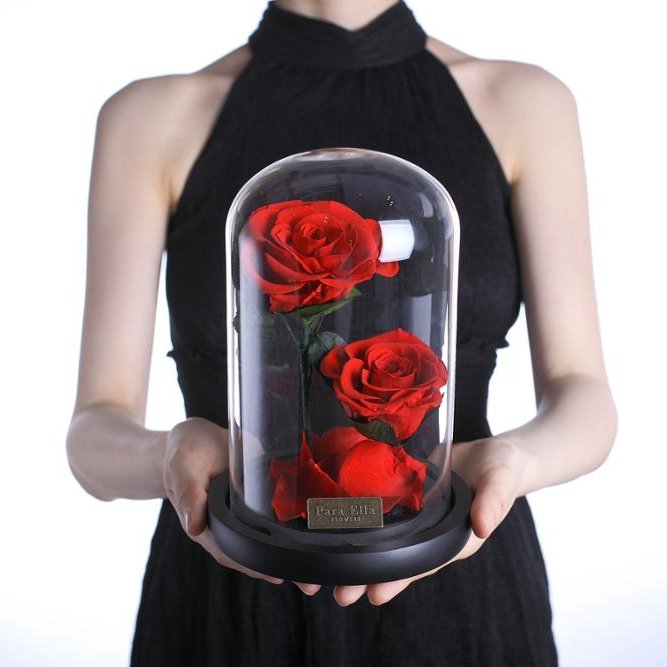 preserved rose with stem preserved flowers in glass box Valentine's Day gift