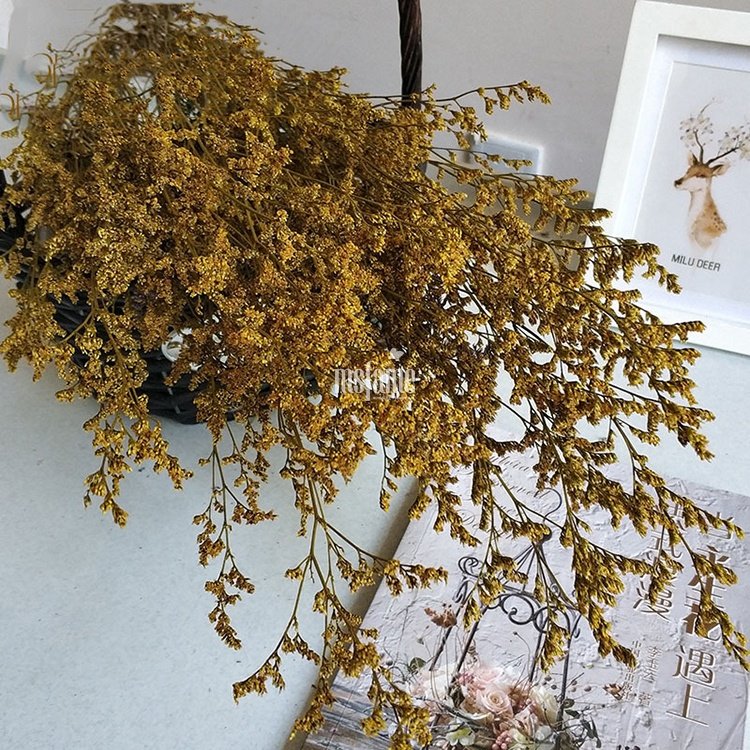 MSFAME Factory Directly Immortal Flower Preserved Candle Making Dry Flowers For Resin Art