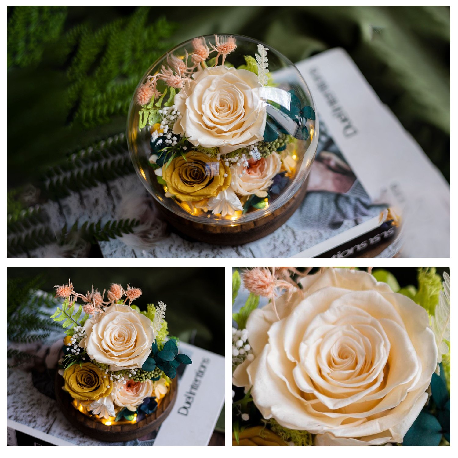 New Product Ideas 2024 Unique Floral Gift Send Love Long Lasting Carnation Roses Real Preserved Flowers for All Occasions