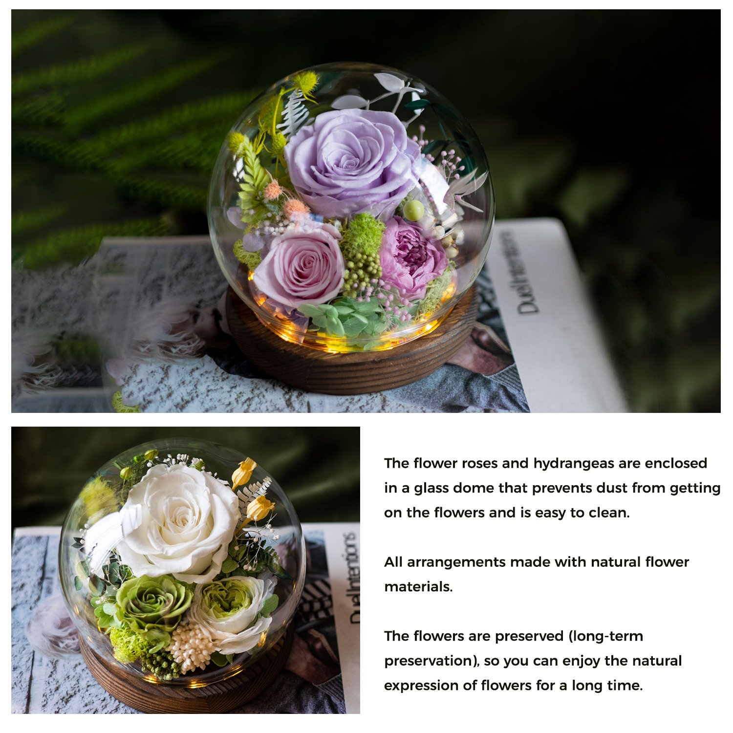 New Product Ideas 2024 Unique Floral Gift Send Love Long Lasting Carnation Roses Real Preserved Flowers for All Occasions