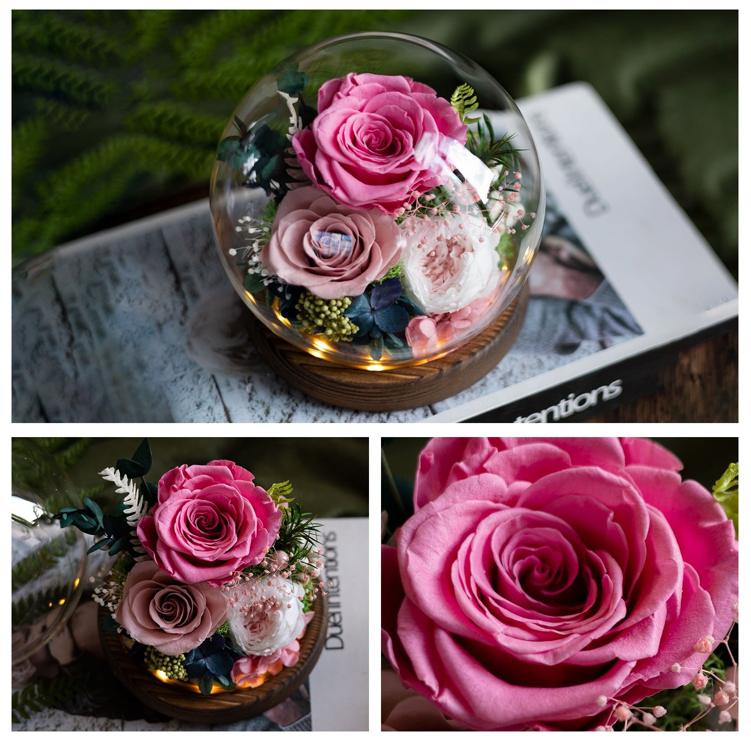 New Product Ideas 2024 Unique Floral Gift Send Love Long Lasting Carnation Roses Real Preserved Flowers for All Occasions