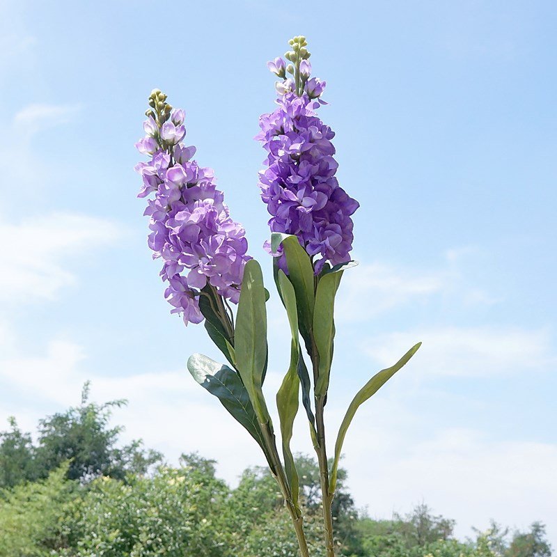 Wholesale Artificial Flowers Single Stem 80cm Artificial Delphinium Flowers for Home Decor