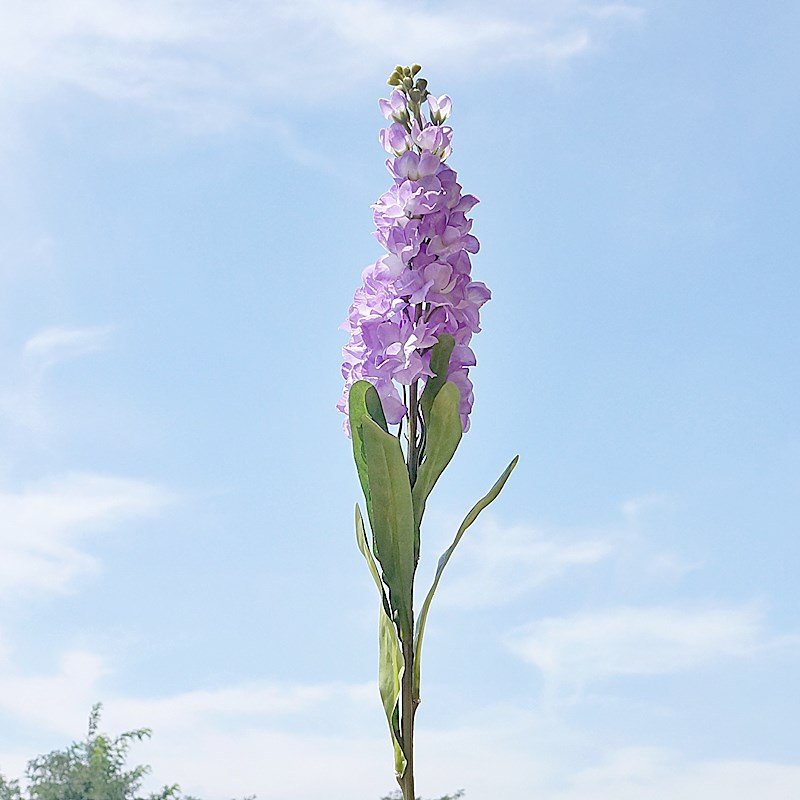 Wholesale Artificial Flowers Single Stem 80cm Artificial Delphinium Flowers for Home Decor