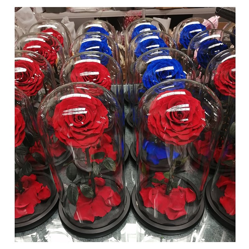 Wholesale rosa en cupula de vidrio preserved rose glass dome forever roses preserved roses in glass dome flower