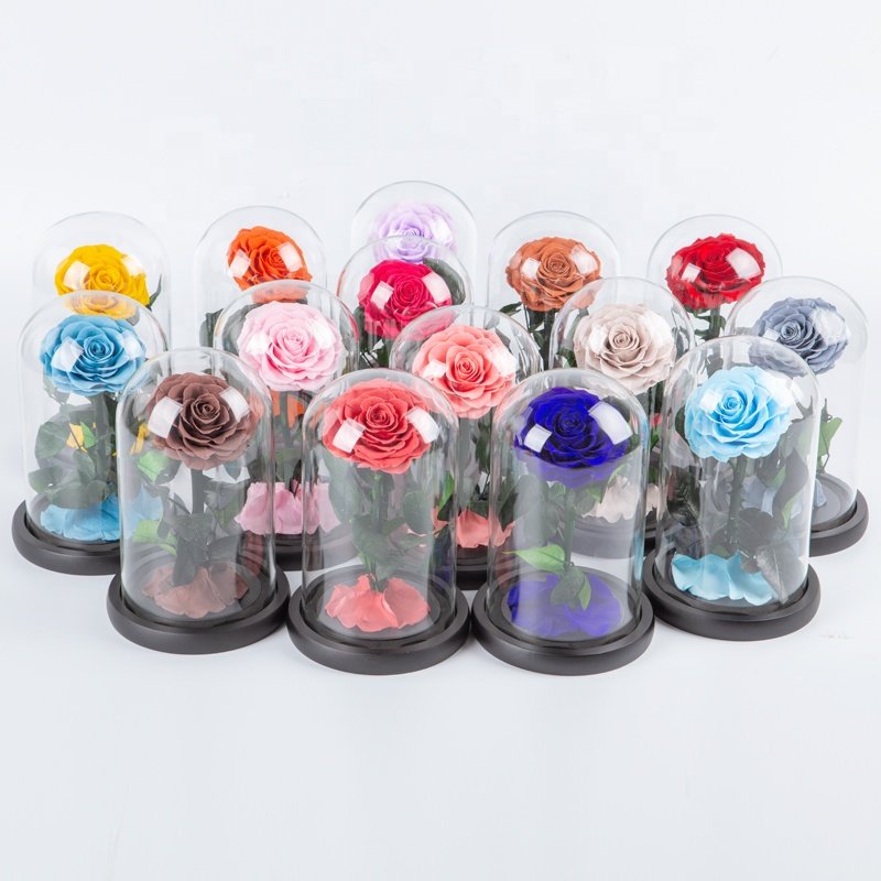 Wholesale rosa en cupula de vidrio preserved rose glass dome forever roses preserved roses in glass dome flower