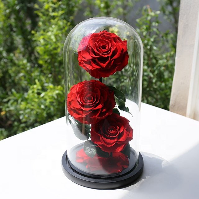 Wholesale rosa en cupula de vidrio preserved rose glass dome forever roses preserved roses in glass dome flower