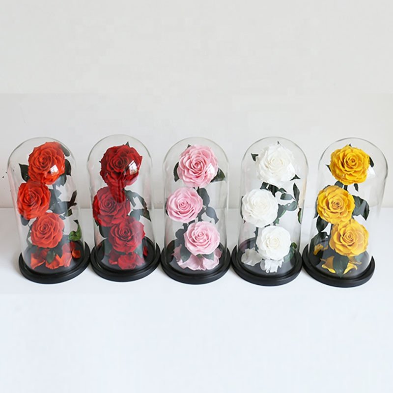 Wholesale rosa en cupula de vidrio preserved rose glass dome forever roses preserved roses in glass dome flower