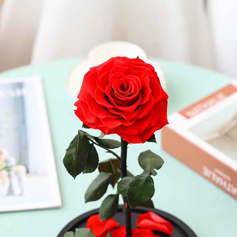 Glass dome decoration flower forever roses eternal flower stem rose large prince preserved rose in glass