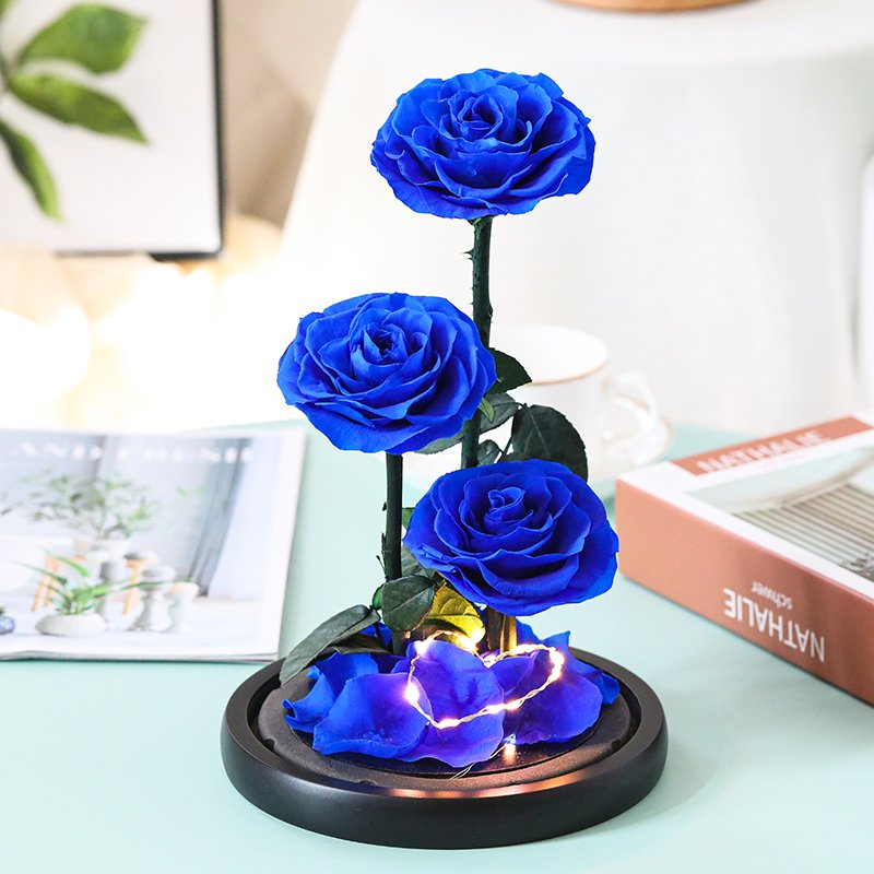 Glass dome decoration flower forever roses eternal flower stem rose large prince preserved rose in glass