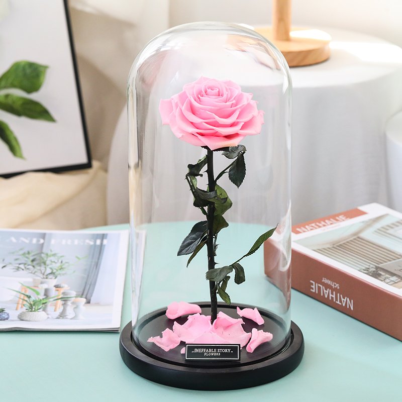 Glass dome decoration flower forever roses eternal flower stem rose large prince preserved rose in glass