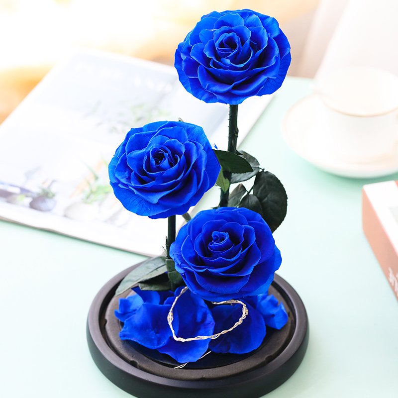 Glass dome decoration flower forever roses eternal flower stem rose large prince preserved rose in glass