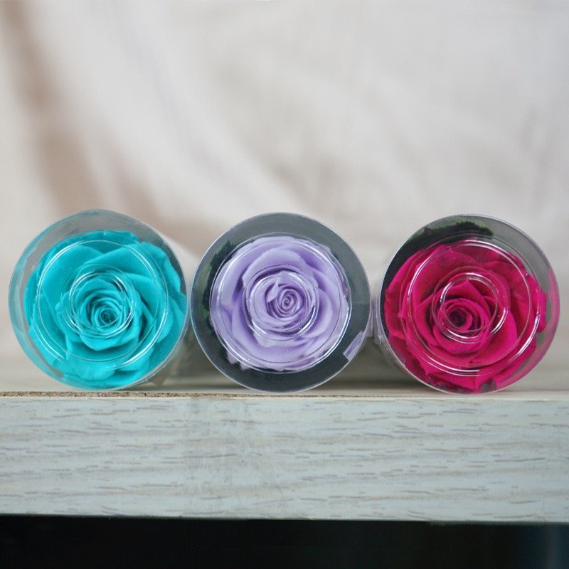 Queen Naxi's Eternal Single-Stemmed Rose Test Tube Flower Bundle Special Christmas Graduation Gift for Valentine's Day from Qixi