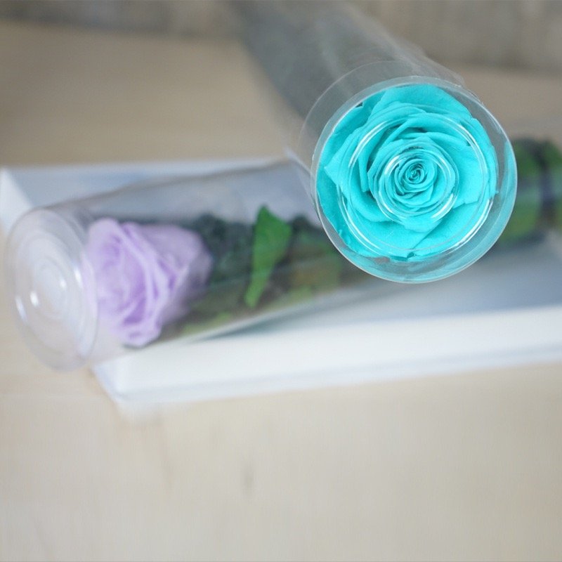 Queen Naxi's Eternal Single-Stemmed Rose Test Tube Flower Bundle Special Christmas Graduation Gift for Valentine's Day from Qixi