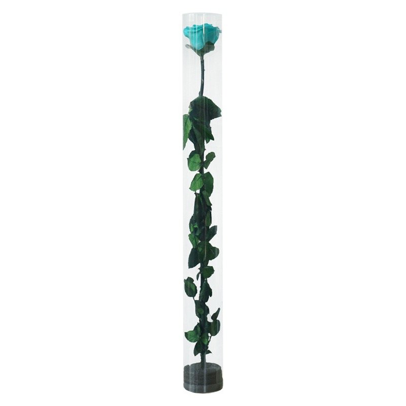 Queen Naxi's Eternal Single-Stemmed Rose Test Tube Flower Bundle Special Christmas Graduation Gift for Valentine's Day from Qixi