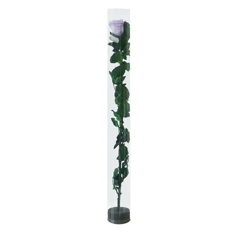 Queen Naxi's Eternal Single-Stemmed Rose Test Tube Flower Bundle Special Christmas Graduation Gift for Valentine's Day from Qixi