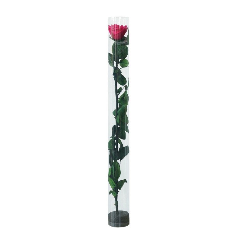 Queen Naxi's Eternal Single-Stemmed Rose Test Tube Flower Bundle Special Christmas Graduation Gift for Valentine's Day from Qixi