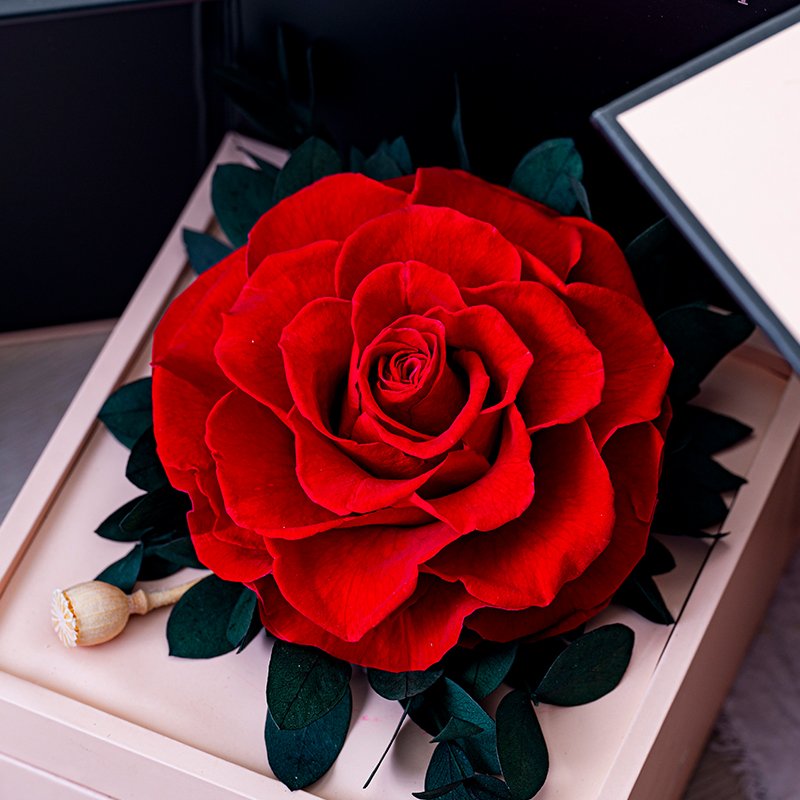 Wholesale Luxury Gift Preserved Real Big Forever Single Flowerjewelry Box Roses Flower Gift Mother&#39;s Day Party Decoration