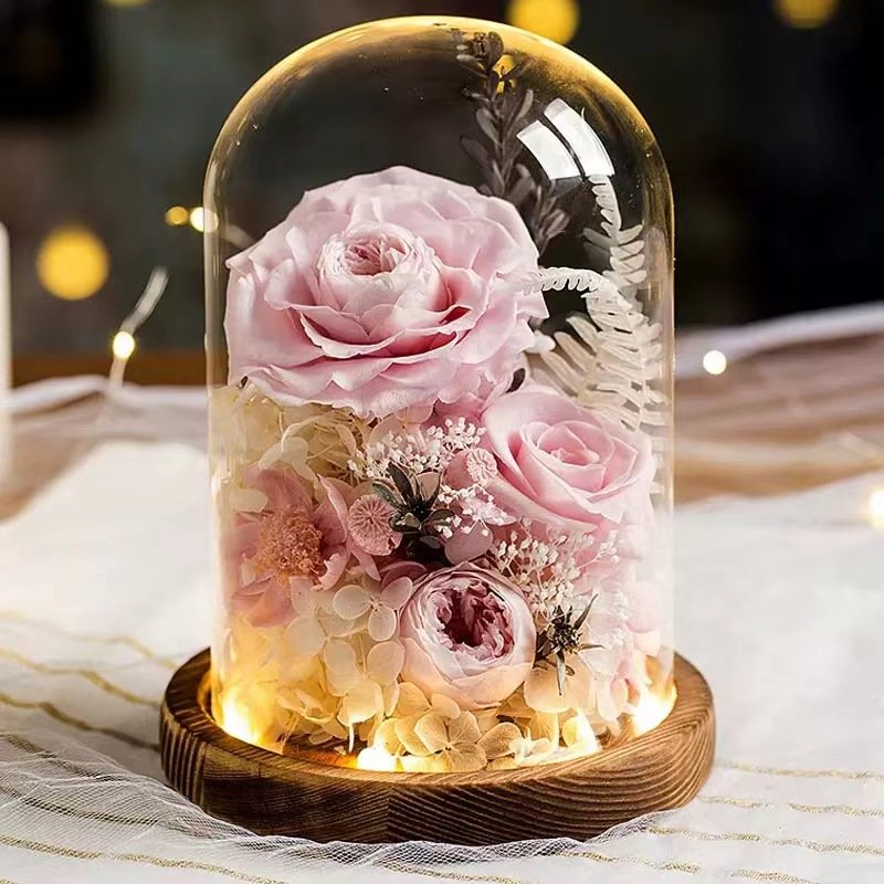 Exquisite special preserved eternal stabilized immortal flower glass cover ornament for boys to give girls as birthday gifts