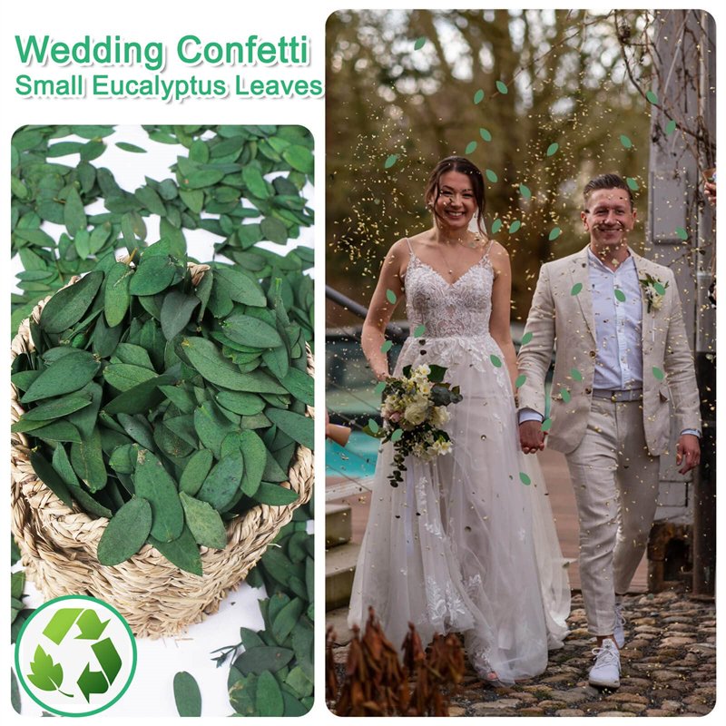 1kg Factory New Arrival Natural 100% Real Leaves Small Preserved Eucalyptus Fine Bulk