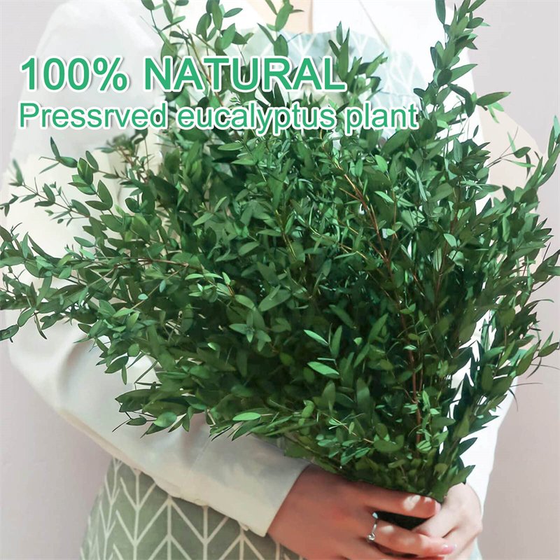 1kg Factory New Arrival Natural 100% Real Leaves Small Preserved Eucalyptus Fine Bulk