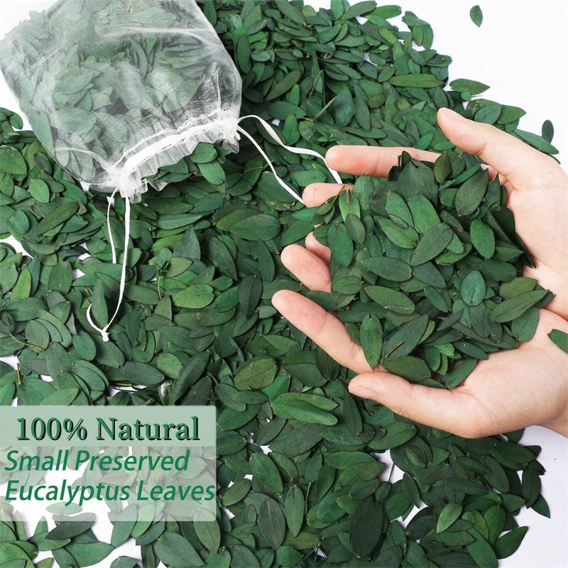 1kg Factory New Arrival Natural 100% Real Leaves Small Preserved Eucalyptus Fine Bulk
