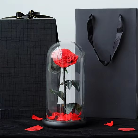 Lovebay Real Authentic Roses Valentine's Day Forever Eternal Roses Preserved Everlasting Natural Preserved Roses in Glass Dome